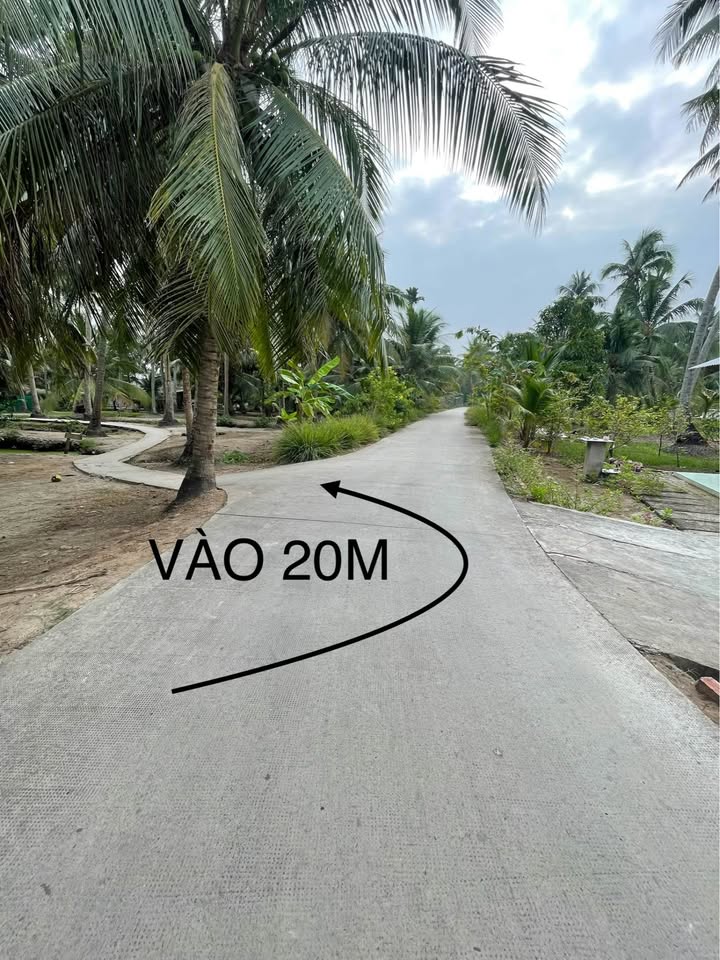 Đất Vườn Bến Tre 360m² Giá 650 Triệu - Sổ Đỏ Vĩnh Viễn