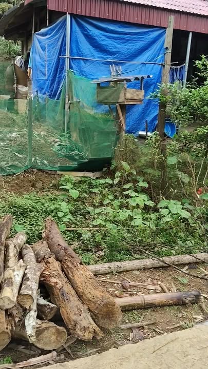 Đất nền Sơn La 240m² giá 100 triệu - Sổ đỏ chính chủ!