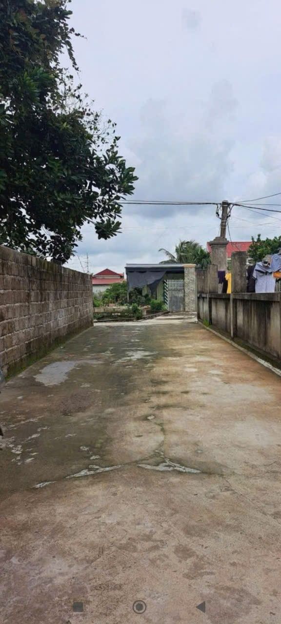 Đất Vĩnh Bảo Hải Phòng 110m² - Giá Rẻ 5xx Triệu, Ô tô Vào Tận Nơi