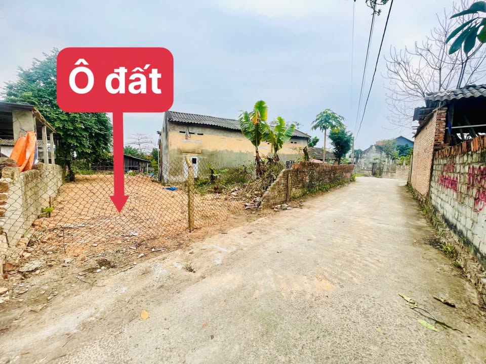 Đất nền TDP Đồng Bắc, Vĩnh Yên 110m² giá 8xx triệu - Đón sóng!