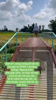 Đất ruộng Đông Thuận 1.000m² 290 triệu - Xây dựng tự do