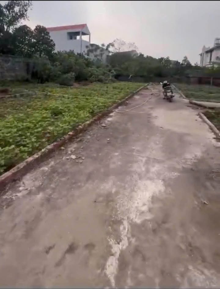 Đất nền Tả Thanh Oai 43m² - Mặt ngõ rộng, giá 4 tỷ - Đầu tư sinh lời