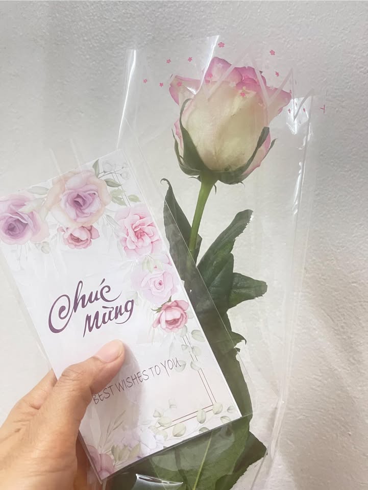 Đất Sóc Sơn 120m² - Lô Vuông Vắn, Gần Nội Bài, Giá Tốt