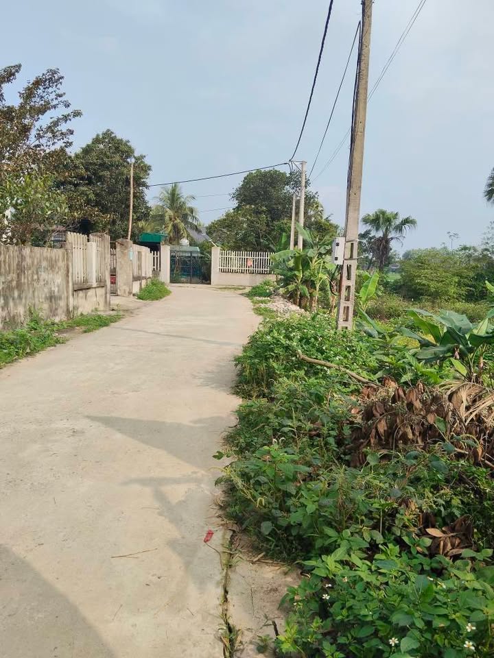 Đất nền Ninh Phạm, Quảng Yên 150m² - Đường to ô tô, tiềm năng sinh lời!