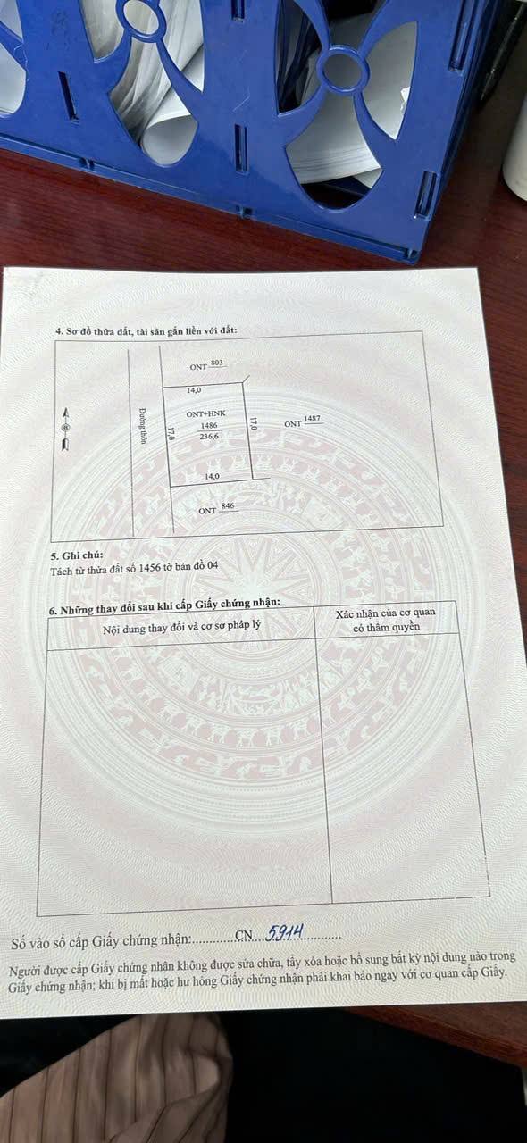 Đất nền 236m² Xã Trung Chính, Đông Sơn – Tiềm năng tăng giá vượt trội!