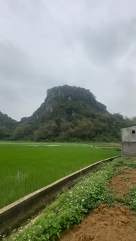 Đất nền Cao Dương, Lương Sơn 956m² - Tiềm năng tăng giá vượt trội!