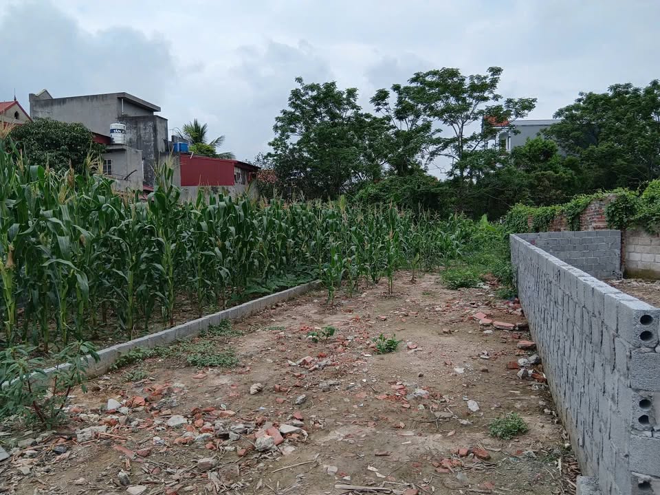 Đất nền Minh Khai Hưng Yên 86m² 1x tr/m² - Sổ đỏ sẵn