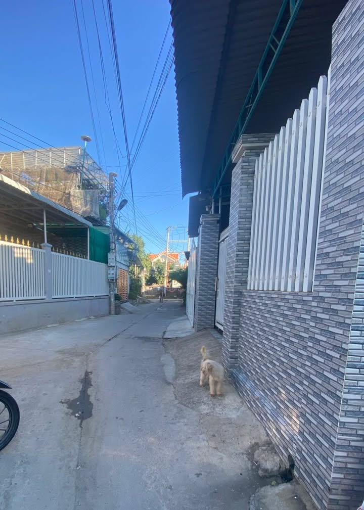 Bán Đất Full Thổ 102m² Trương Định, Bảo An - Sổ Đỏ Sẵn Sàng