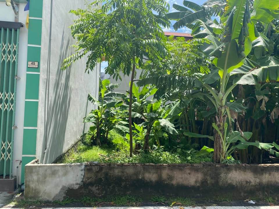 Đất nền Thọ Xuân, Đan Phượng 45m² - Tiềm năng tăng giá!