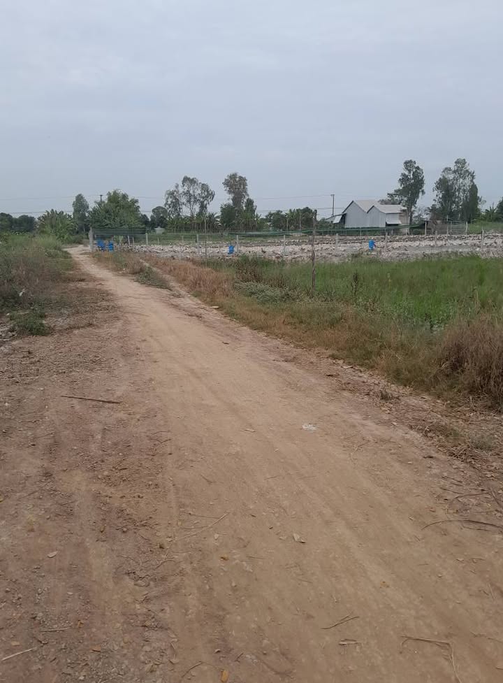 Bán đất 3000m² mặt tiền 27m tại xã Cần Đăng, An Giang - Giá chỉ 235 triệu