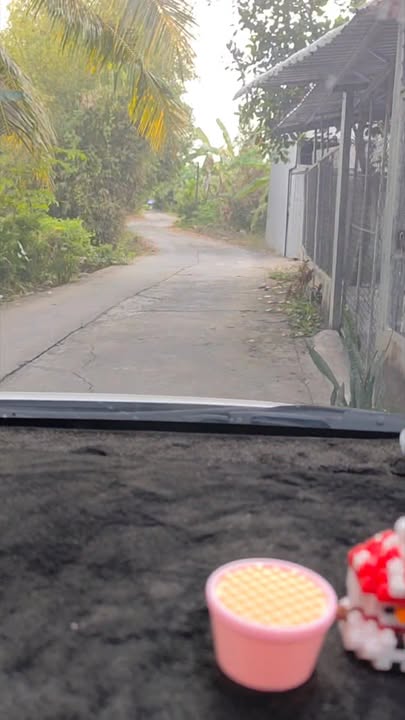 Đất vườn Trường Long, Cần Thơ 16.000m² - View thiên nhiên tuyệt đẹp