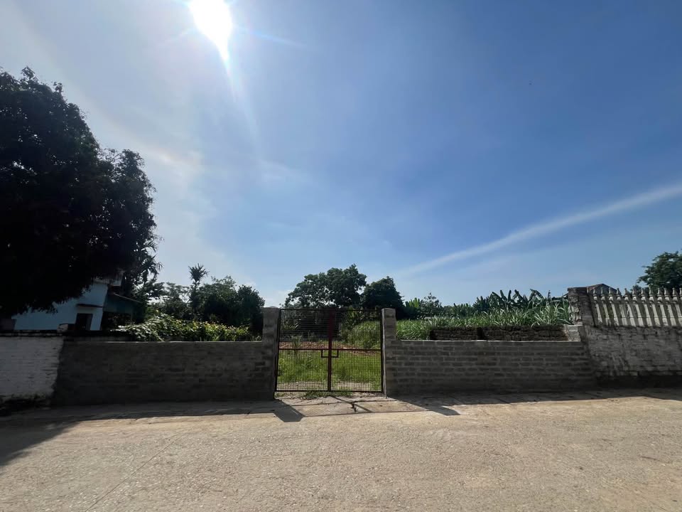 Đất nền Thôn Mồ Đồi Yên Bài 529m² - Sổ đỏ chính chủ, đầu tư sinh lời!