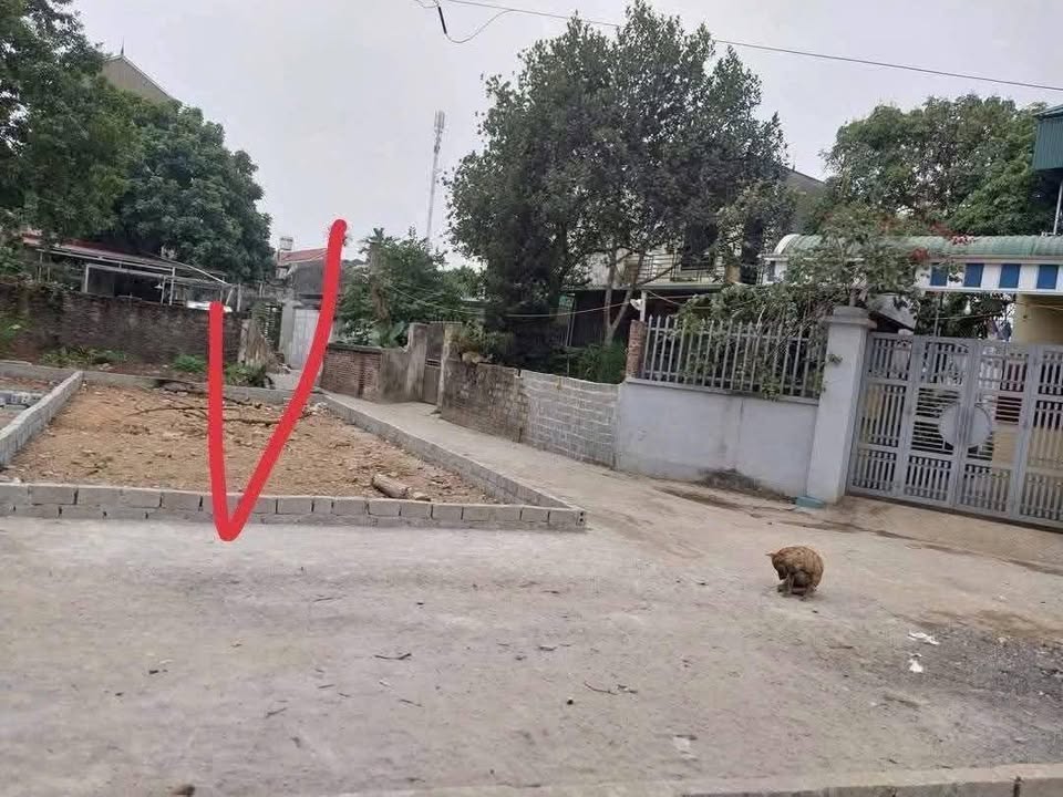 Bán Đất Lô Góc 63m² Xuân Mai - Ô Tô Vào Tận Nơi, Giá 1.1 Tỷ