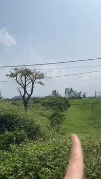 Đất thổ cư 150m² Quốc lộ 8C, Hà Tĩnh - Sẵn sổ, đầu tư sinh lời