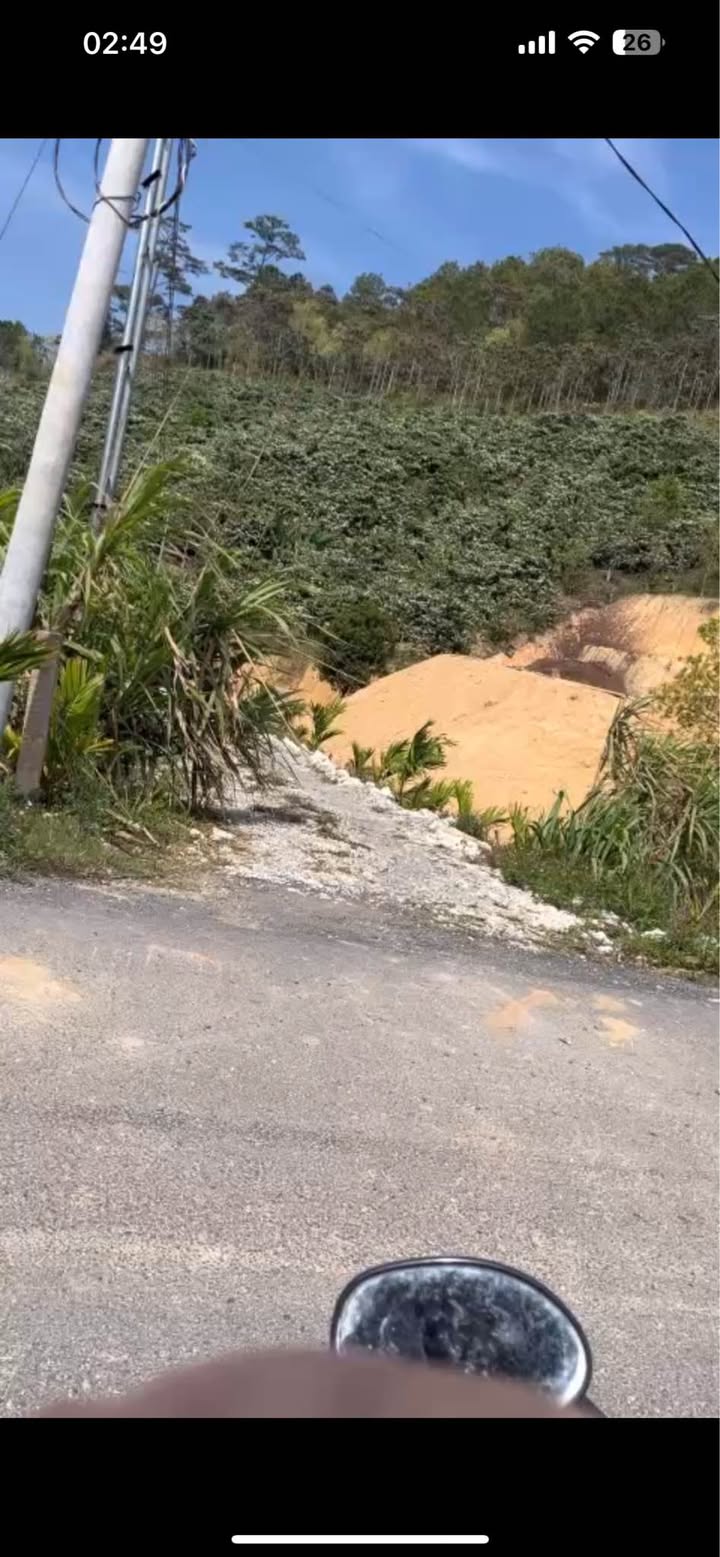 Đất vườn cà phê Đa Quyn 3ha – Sinh thái xanh, sẵn sàng thu hoạch!