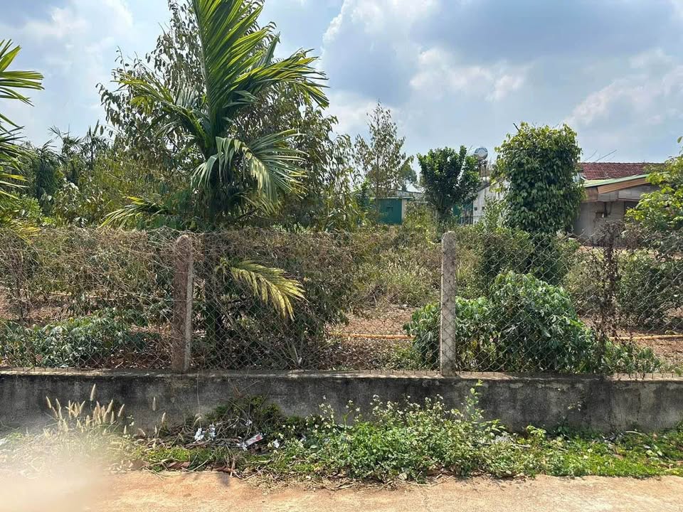 Đất nền Buôn Ma Thuột 125m² chỉ 299 triệu - Pháp lý rõ ràng!