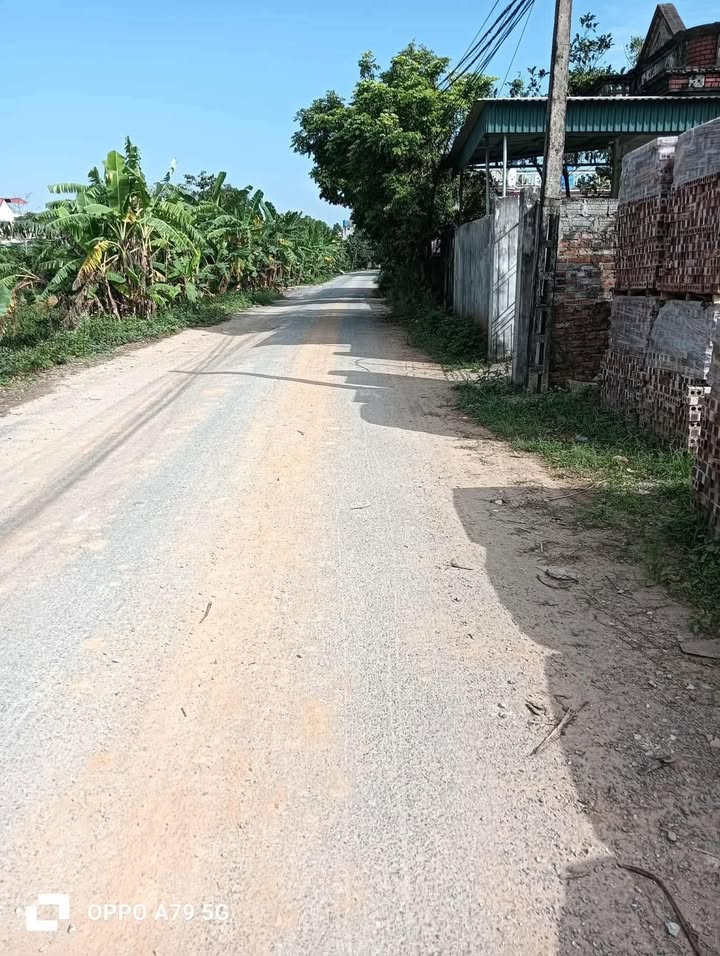 Đất nền Mỹ Lộc Hậu Lộc 200m² - Tiềm năng tăng giá vượt trội!