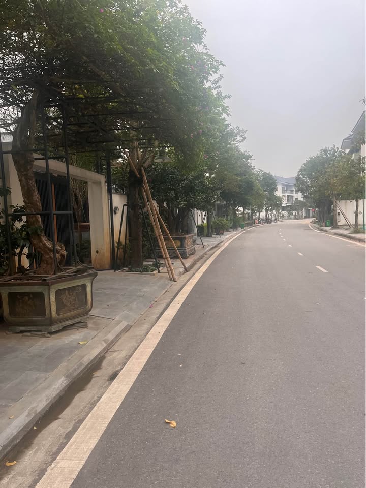 Đất Biệt thự Handico Vinh Tân 212m² - Hướng ĐN, Mặt tiền 14m