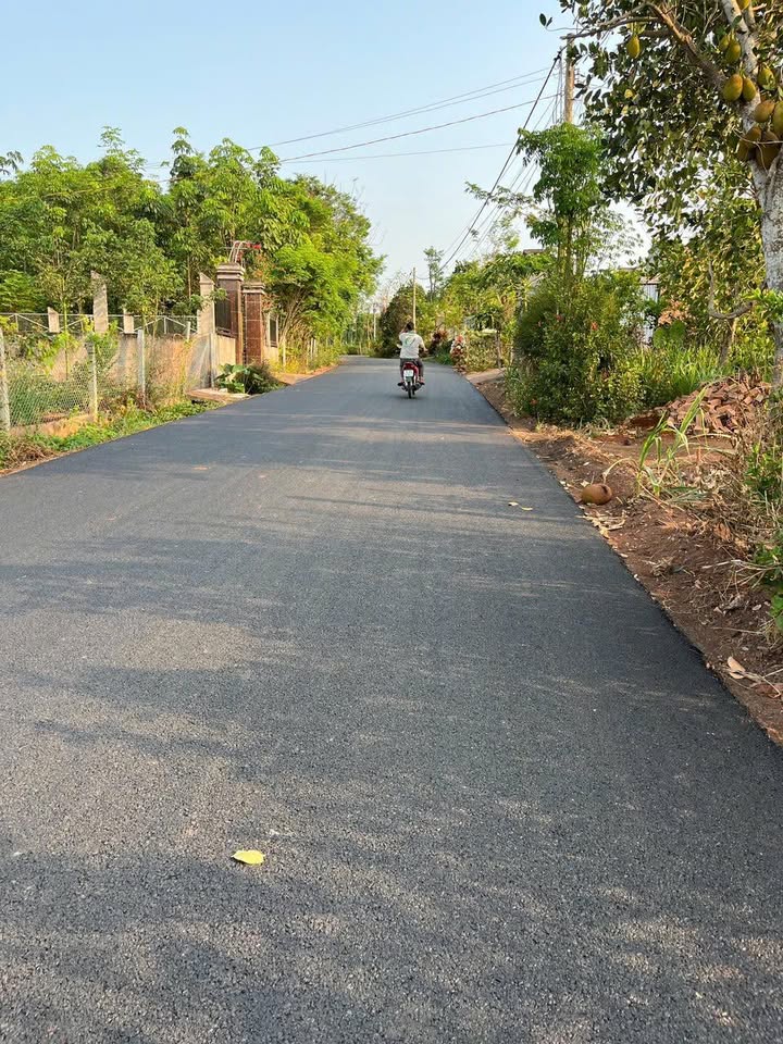 Đất Nền Xã Hoà Hiệp Xuyên Mộc 503m² Sổ Đỏ Riêng - Đầu Tư Sinh Lời