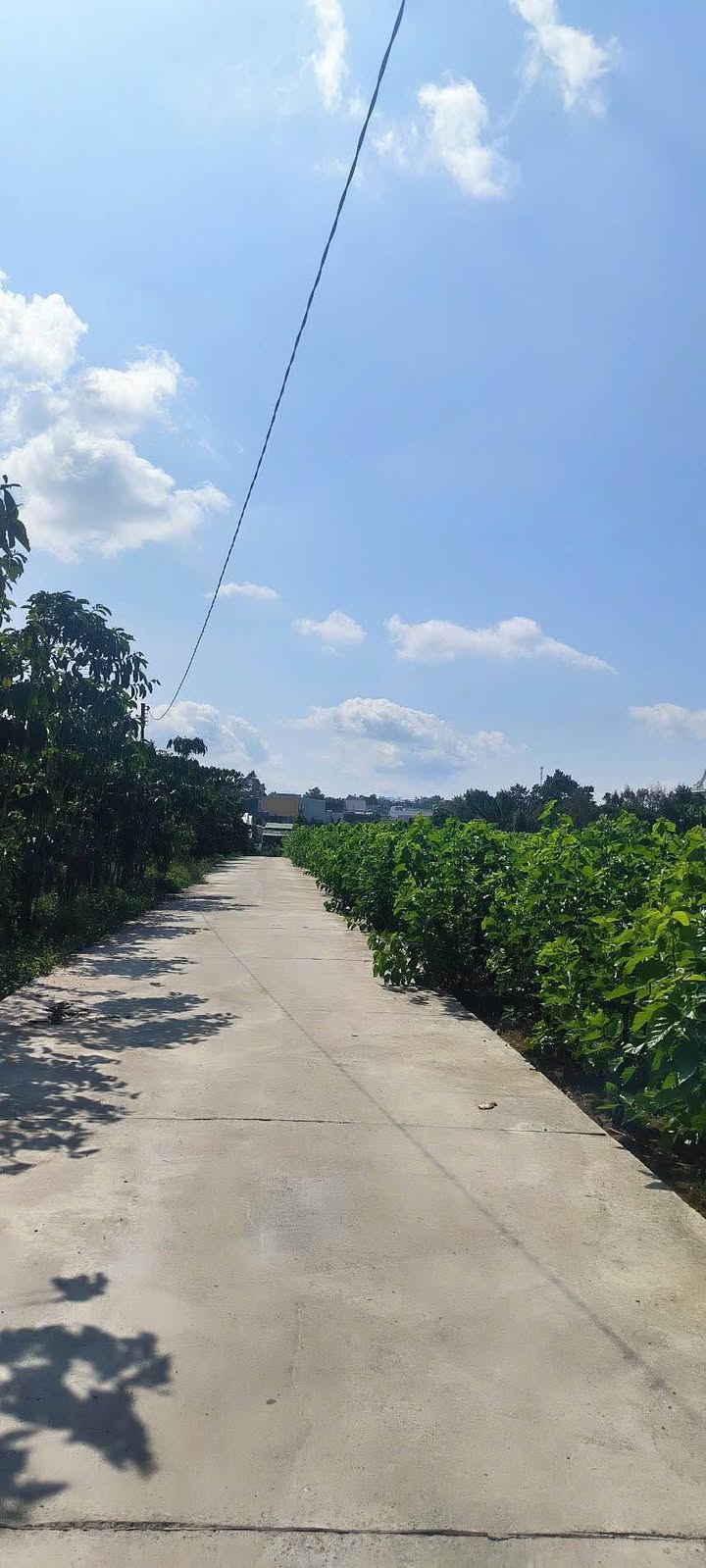 Đất nền Bảo Lộc 1256m² - Quy hoạch Full Thổ cư!