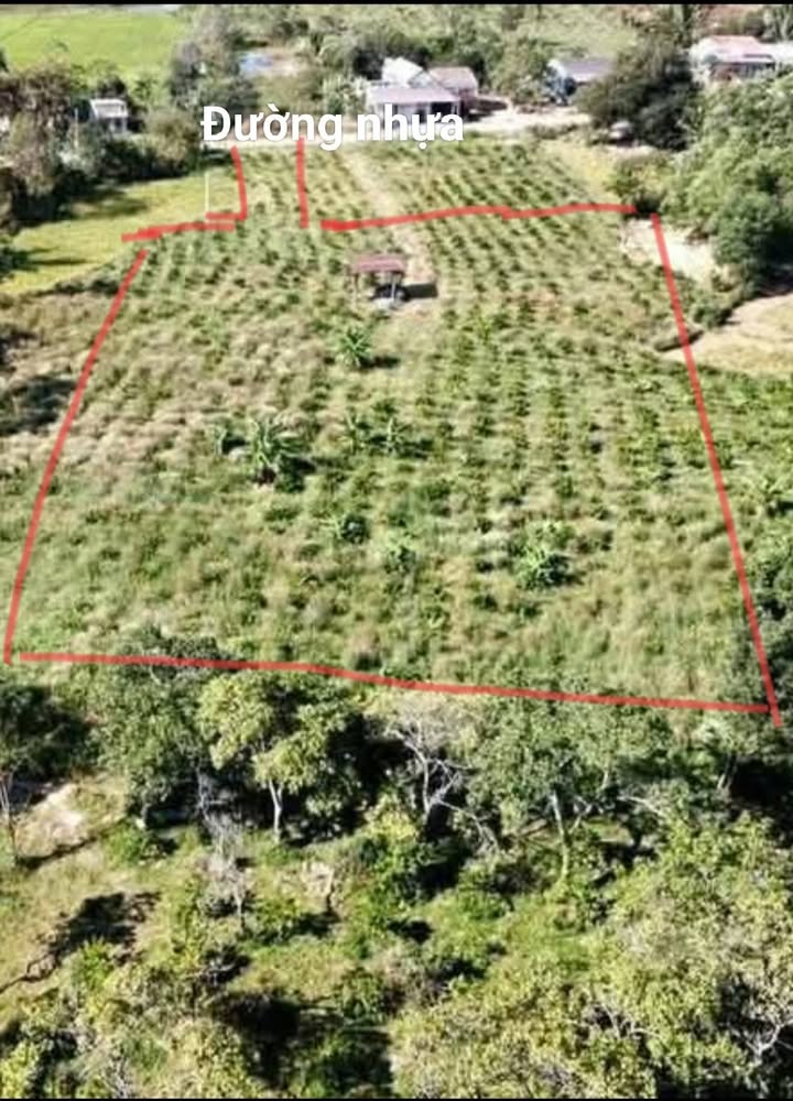 Đất nền Krông A Na 1800m² - Sổ hồng chính chủ, tiềm năng sinh lời