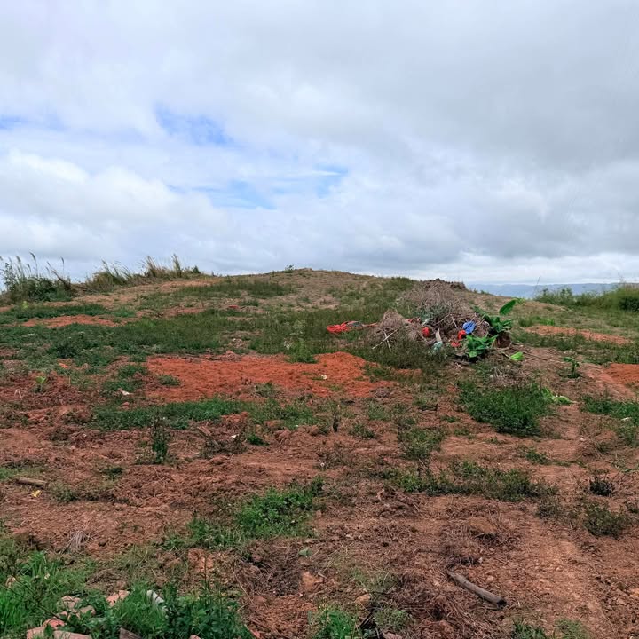 Đất vườn Ea Hiao, Đắk Lắk 1.3ha - Giá đầu tư tốt