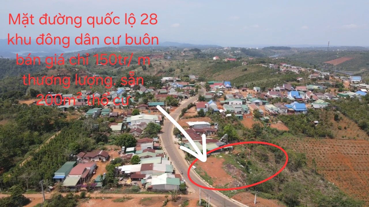 Đất Vàng QL28 Lâm Đồng 4000m² - 6 Tỷ - Sẵn Sàng Kinh Doanh