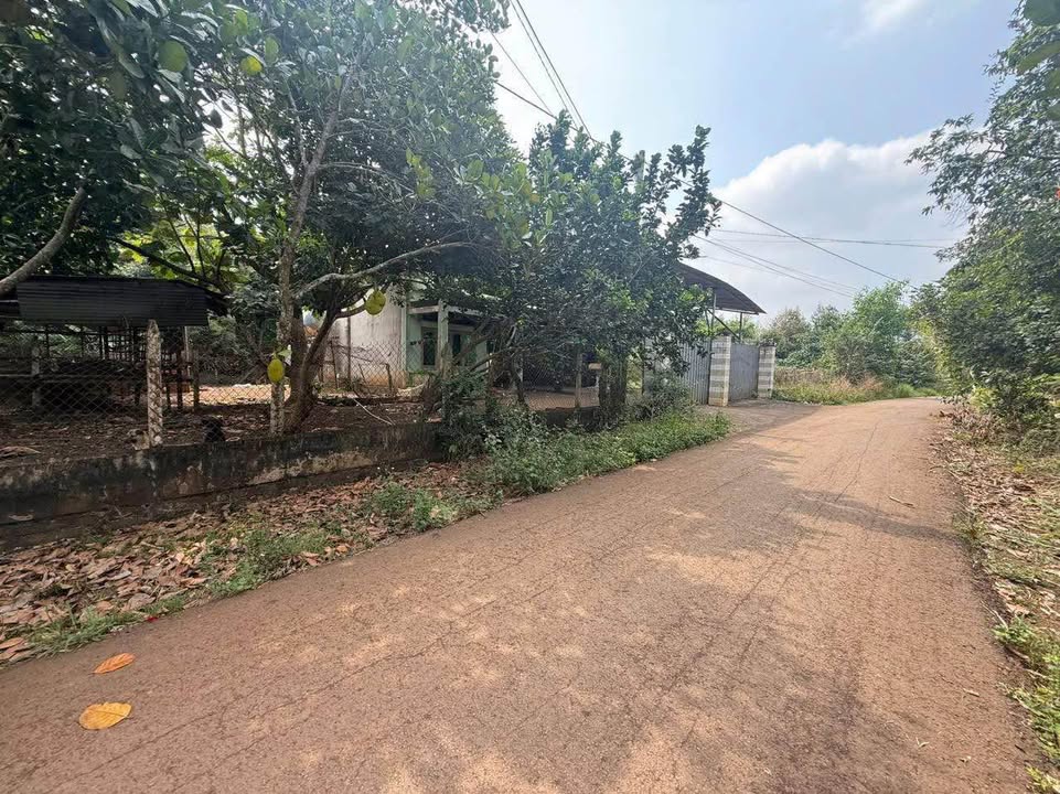 Đất nền Phường Bình Lộc 108m² 380 triệu - Sổ đỏ chính chủ!