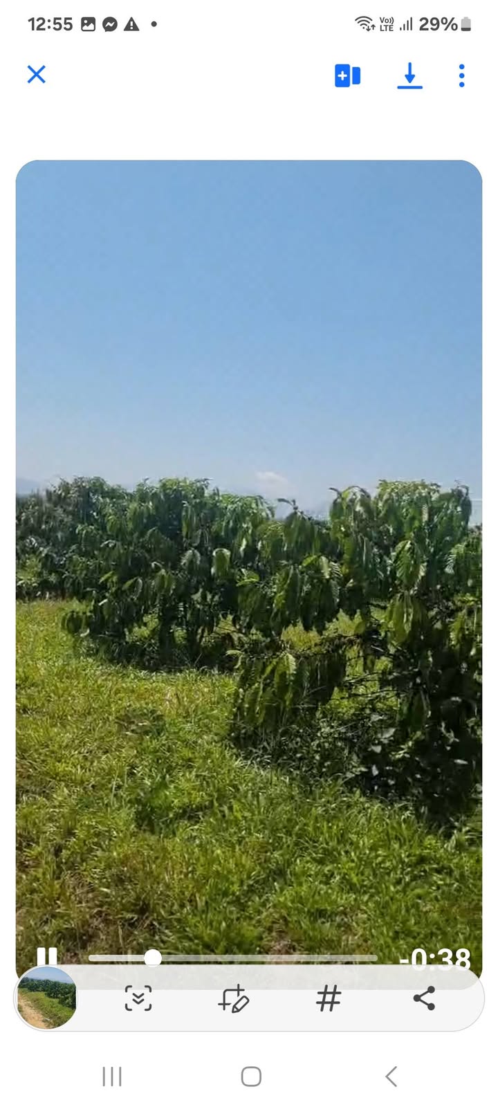 Bán Đất Vườn 360m² Lộc Nga, Bảo Lộc - Gần Nhà Thờ Tân Hóa, Sổ Hồng