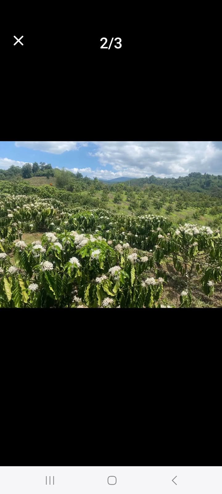 Đất Vườn 360m² Lộc Nga, Bảo Lộc - Sổ Hồng, Đường Ô Tô, Gần Dân Cư