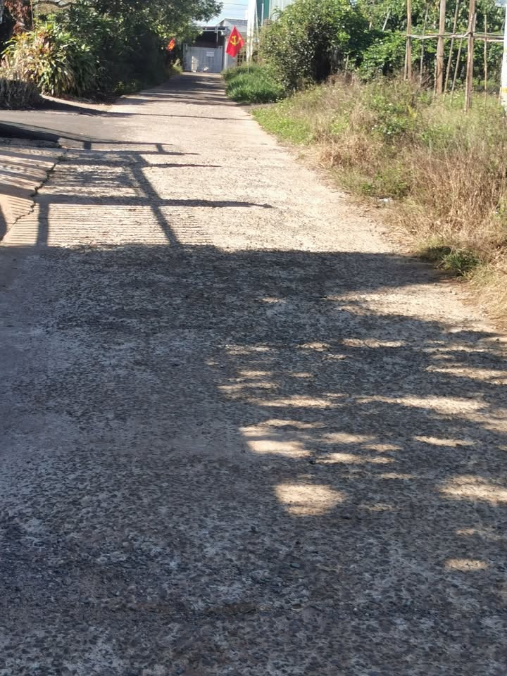 Đất nền Bảo Lộc 2500m² giá 7 tỷ - Lô góc 2 mặt tiền, sổ đỏ sẵn sàng!