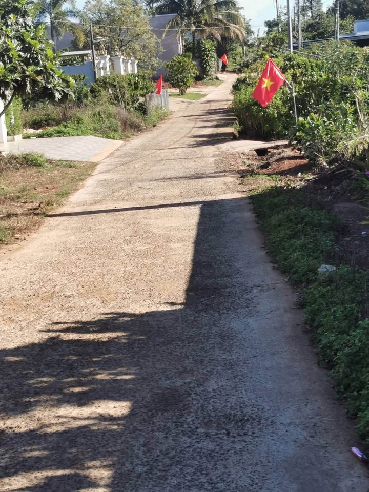 Bán Đất Vàng 360m² Mặt Tiền Hẻm Lê Đại Hành, Bảo Lộc - Giá 3 Tỷ