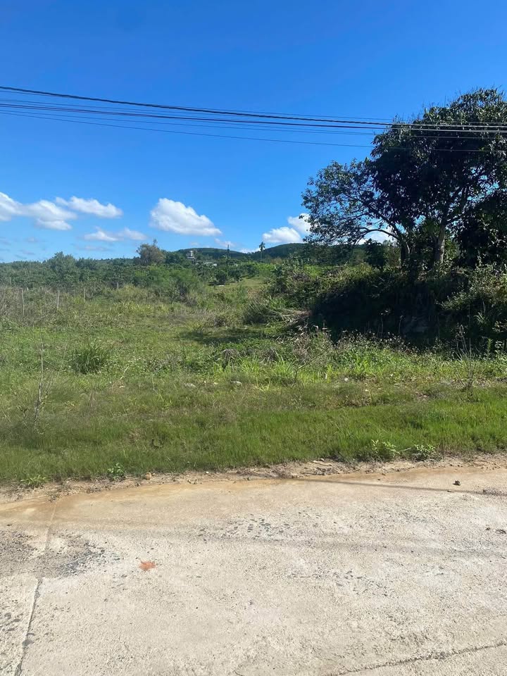 Đất nền Phường 3 Bảo Lộc 900m² giá 1.3 tỷ - Sổ đỏ chính chủ