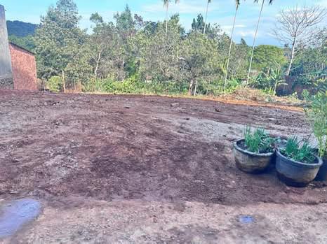 Đất nền Tổ dân phố 7, Gia Nghĩa 409m² - Sổ đỏ chính chủ!