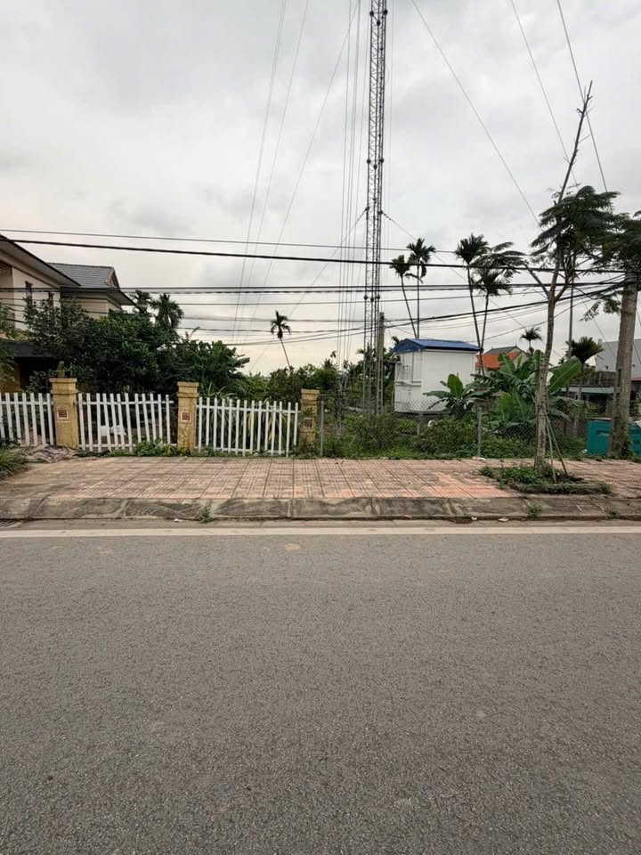 Đất Thượng Đức Đồ Sơn 346m² - Tiềm năng tăng giá