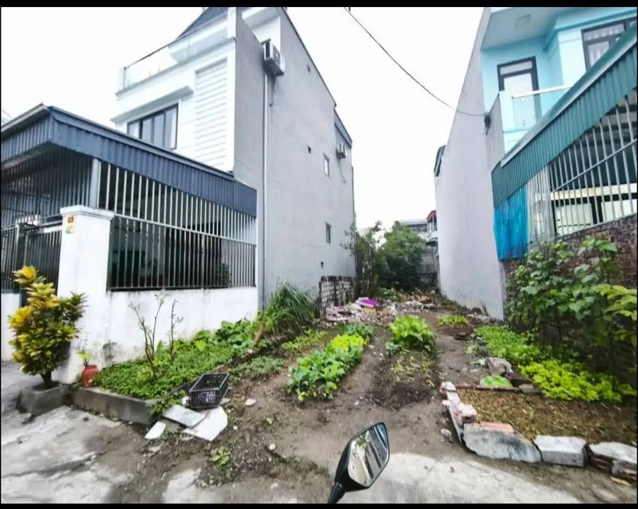 Đất nền Cẩm Thạch 119m² - Ngõ 800, Sẵn Sàng Xây Nhà, Oto Đỗ Sân