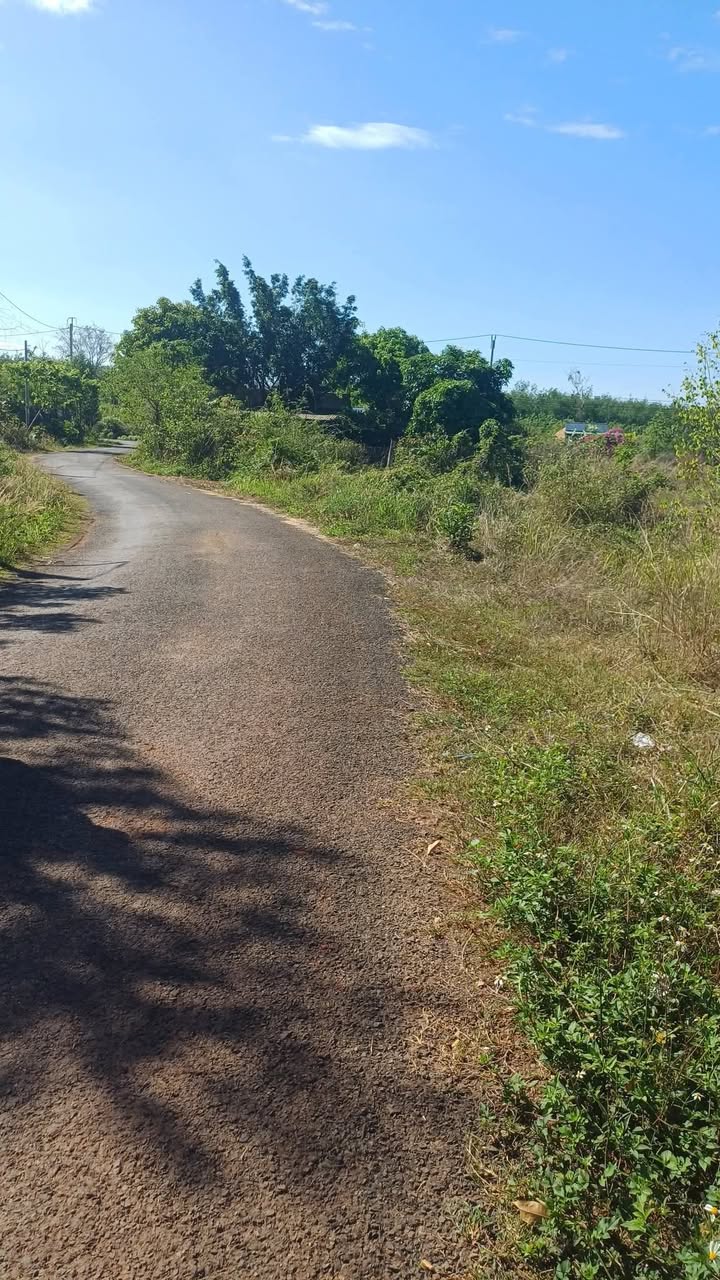 Đất Nền 370m² Ấp 3 Thanh Hòa, Bù Đốp - Giá 280 Triệu Bao Sổ