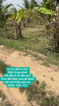 Đất thổ cư Xã Tú An, Gia Lai - 186m² chỉ 165 triệu, đầu tư sinh lời