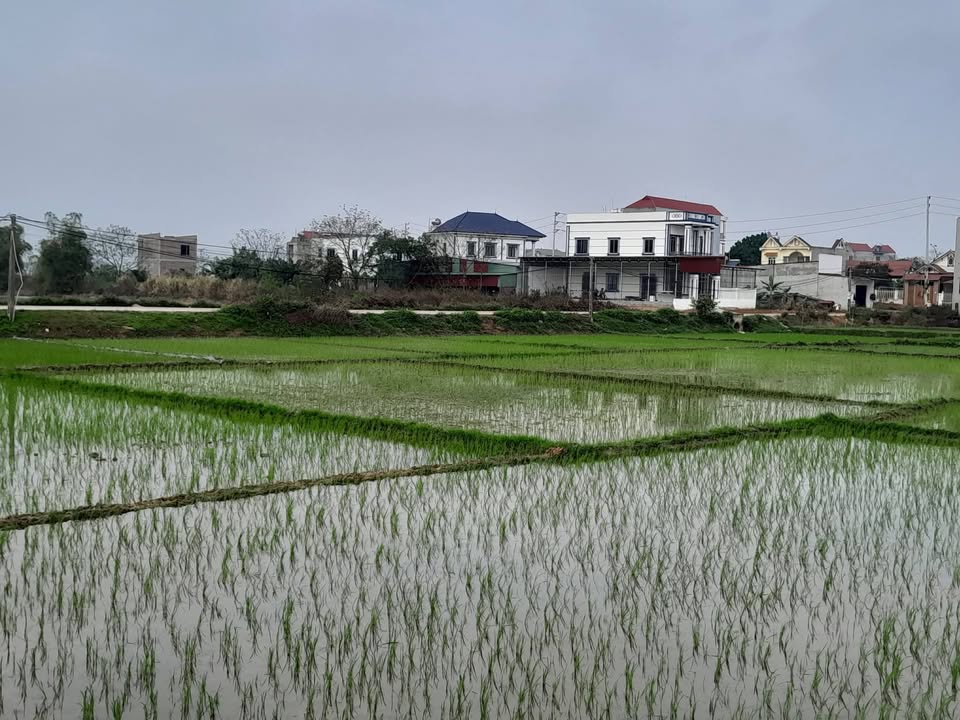 Đất Đấu Giá Việt Yên 176m² - Sổ Đỏ Chính Chủ, Giá Chỉ Hơn 1 Tỷ