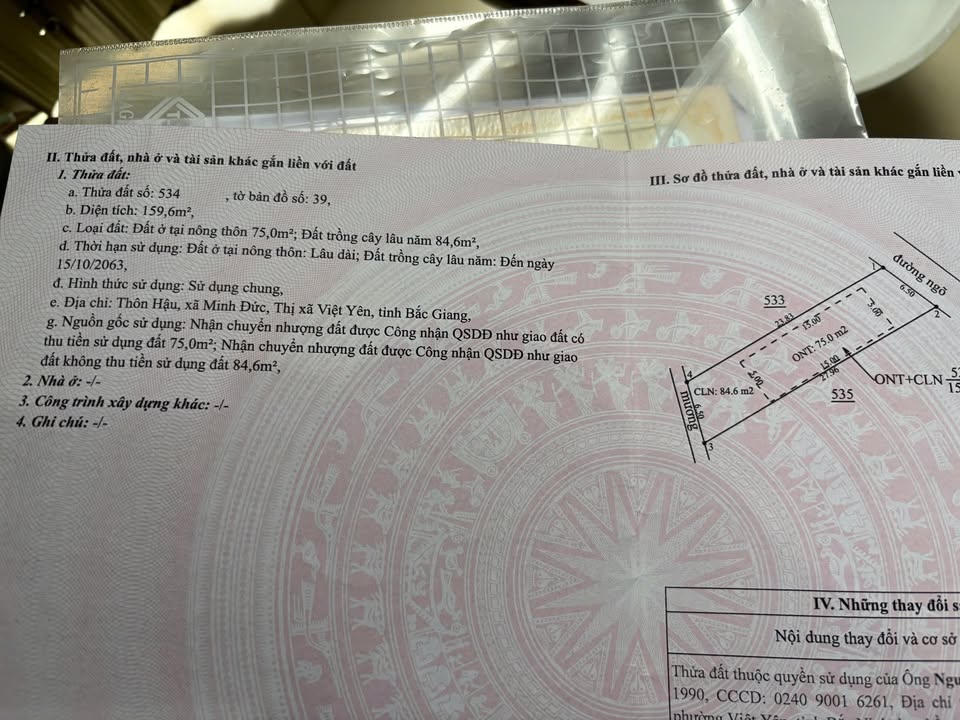 Bán Gấp Đất Tdp Hậu Minh, Bắc Giang 159.6m² - Giá Tốt Đầu Tư