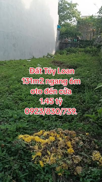Đất nền Túy Loan 131m² - Sổ đỏ chính chủ, oto đến cửa!