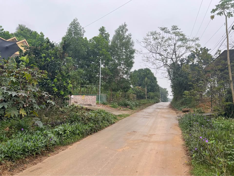 Đất nền 500m² Kim Phú, Tuyên Quang - Mặt tiền 10m, tiềm năng sinh lời