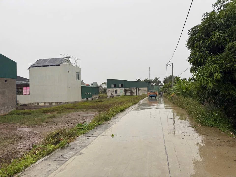 Đất Làng Nghề Vĩnh Trụ, Hà Nam - 115m² Hướng Đông, Giá 1.6 Tỷ - Sổ Đỏ Sẵn Sàng