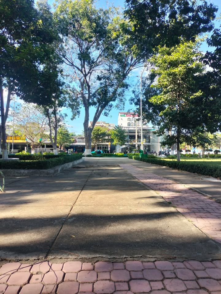 Nhà cấp 4 Trường Chinh Nha Trang 140m² - Sổ hồng sẵn, giá 3 tỷ!