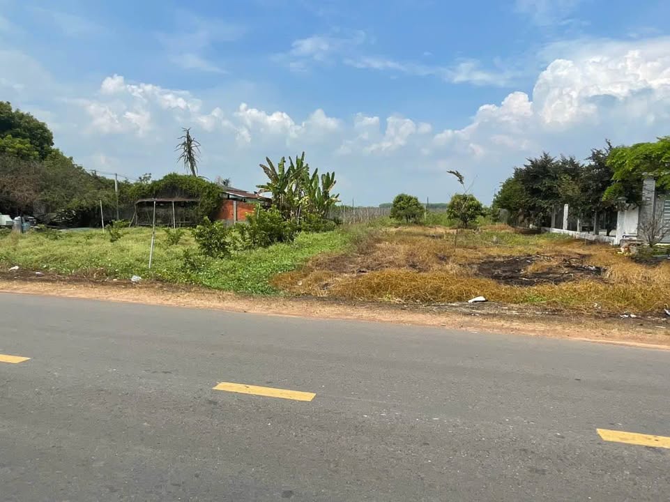 Đất nền Suối Đá DMC 3976m² - Đất thổ cư, tiềm năng tăng giá!