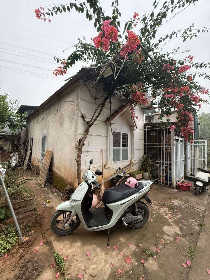 Nhà riêng Tả Phời, Lào Cai 200m² - Giá tốt hiếm có!