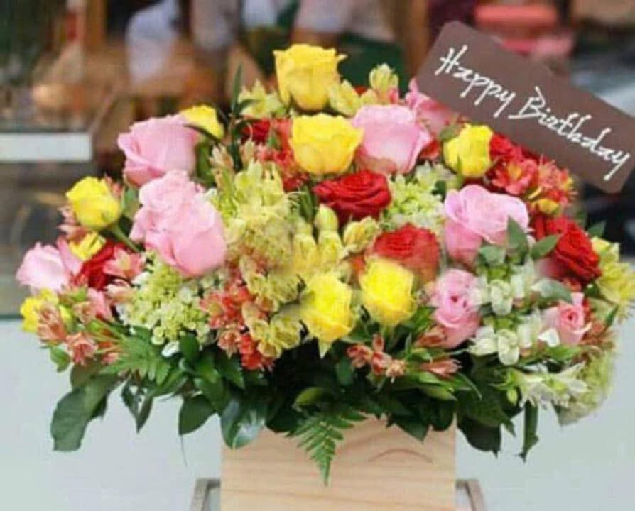 Bán gấp nhà cấp 4 120m² Tỉnh lộ 2, Bà Rịa - Sổ đỏ thổ cư