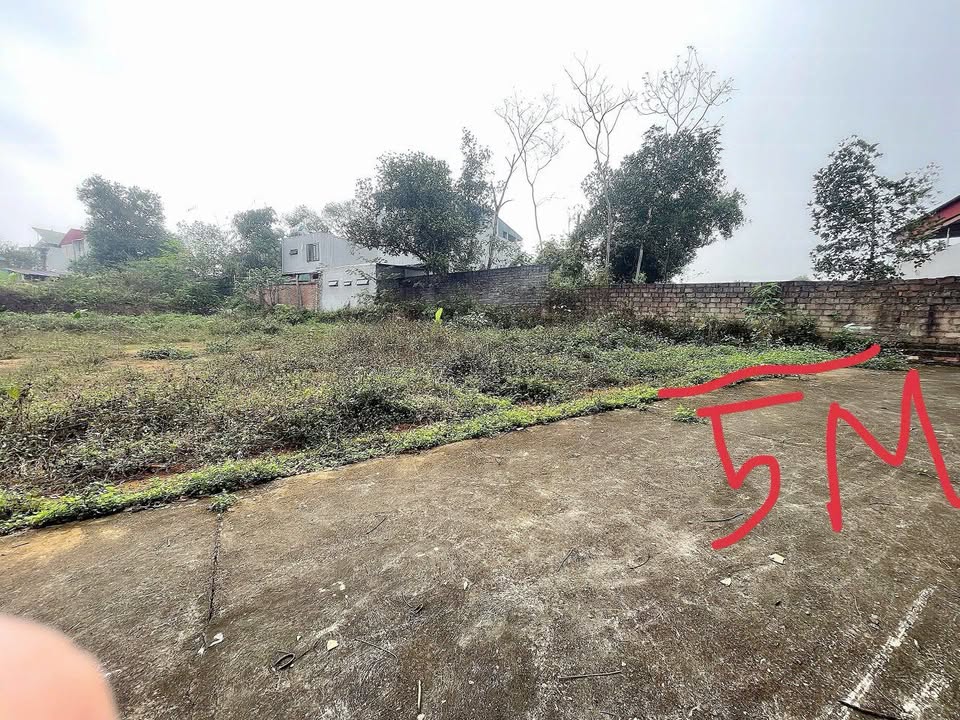 Bán đất Cẩm Đội, Việt Trì 85m² - Sổ đỏ sẵn, giá dưới 1 tỷ