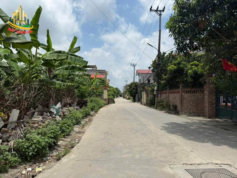 Đất Vàng Đầu Ve 462m² Trần Hưng Đạo, Ninh Bình - Sẵn Sàng Xây Nhà Vườn, Homestay