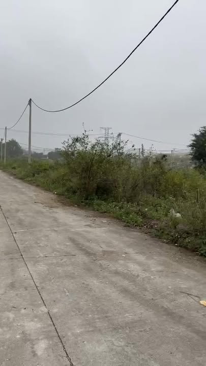 Đất Nền 195m² - Quang Sơn, Tam Điệp - Sổ Đỏ Rõ Ràng, Giá Đầu Tư 1.6 Tỷ